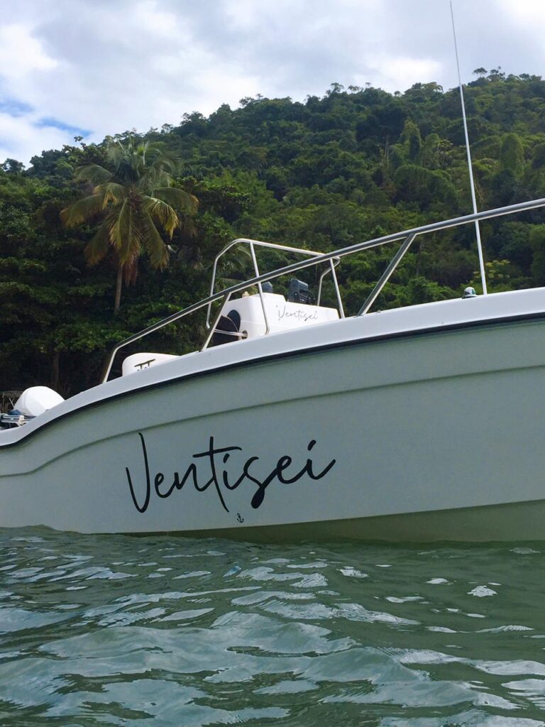 Lancha Wellcraft 22, Roteiro Sul Sem Bonete