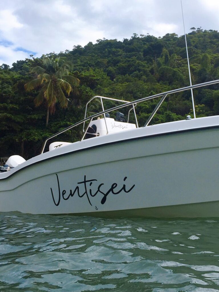 Lancha Wellcraft 22, Roteiro Norte Sem Castelhanos