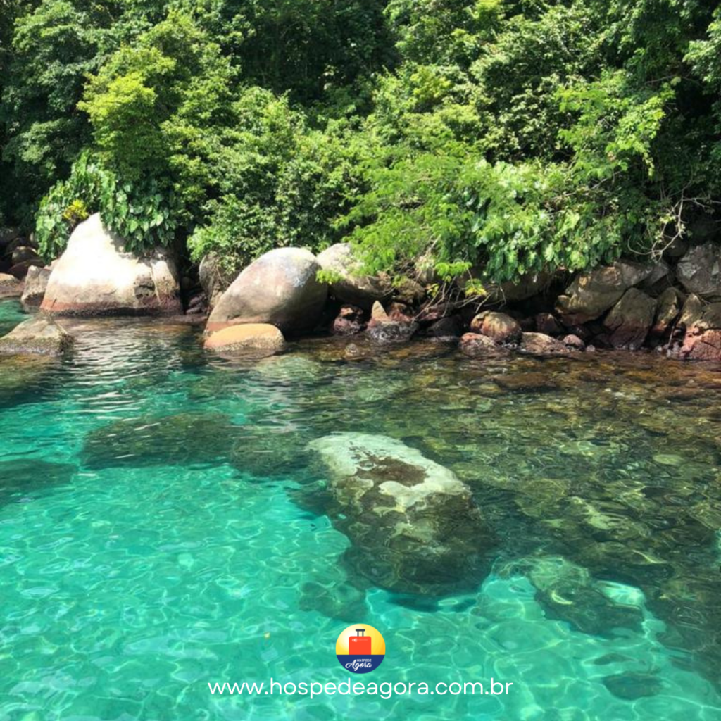 Lancha Dumar 160, Roteiro Norte