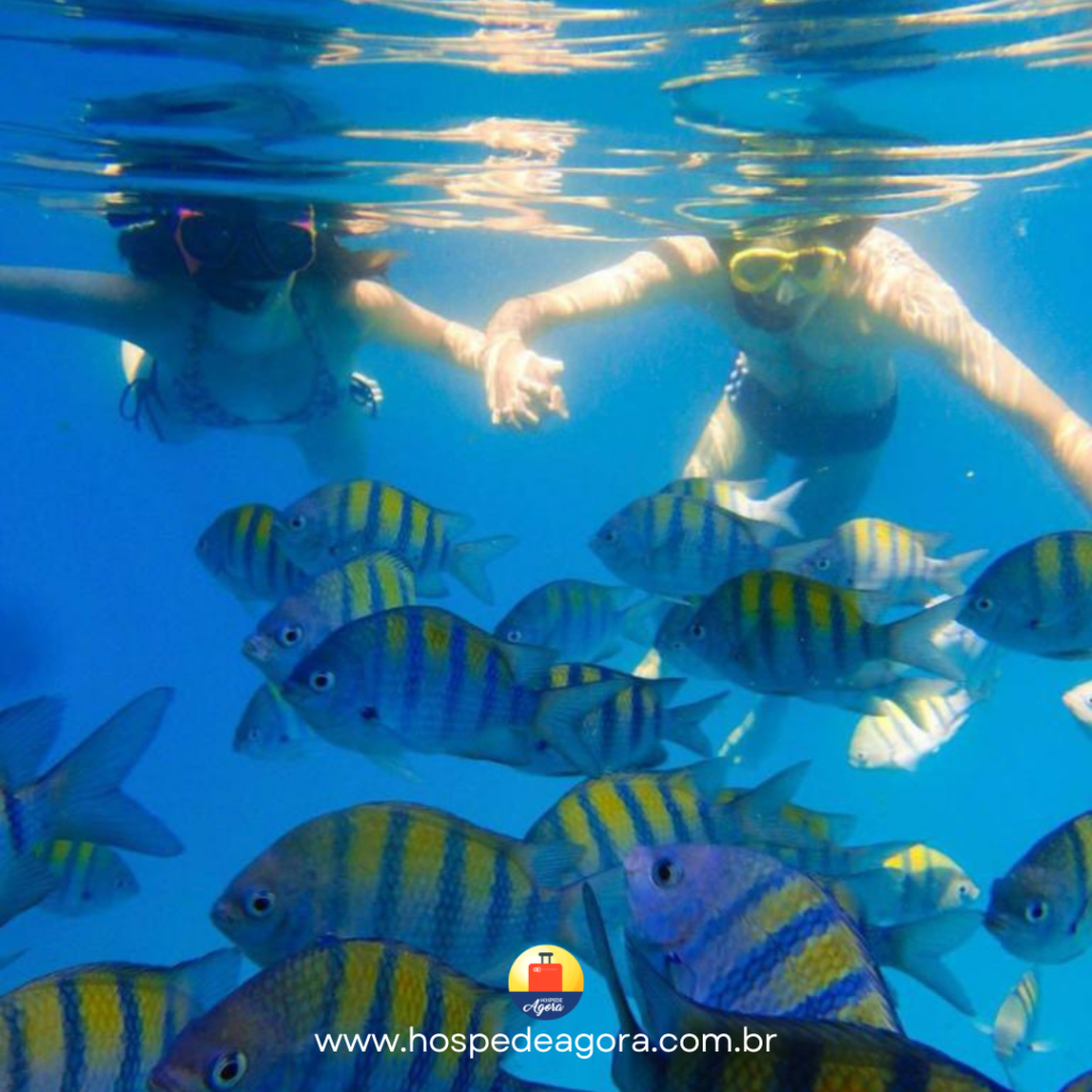 Lancha Rio Star 250 ll, Roteiro Sul até a Praia do Bonete