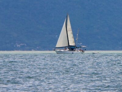 Velamar 45, Cavalo Marinho