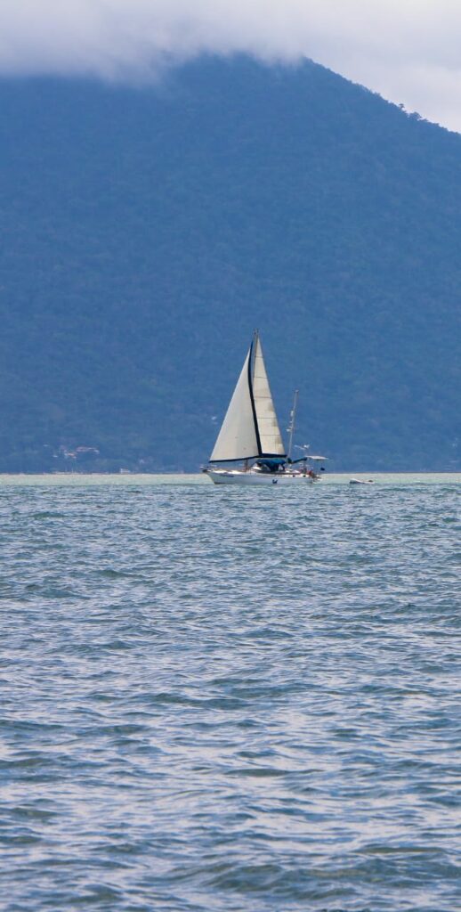 Velamar 45, Cavalo Marinho