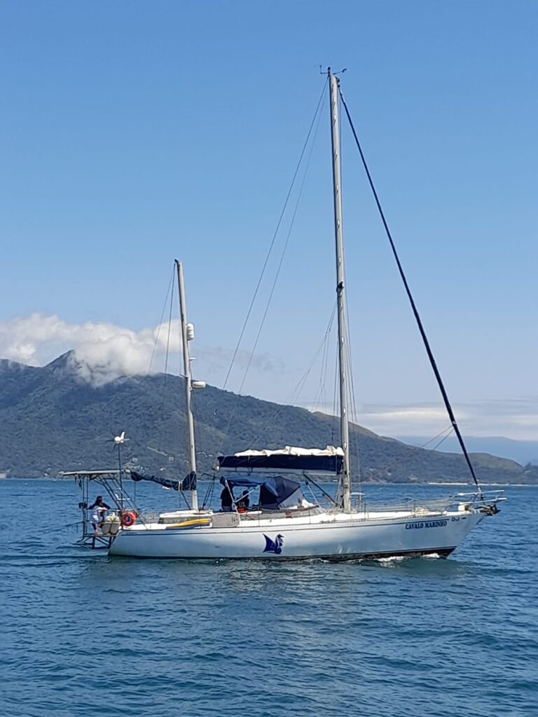 Velamar 45, Cavalo Marinho