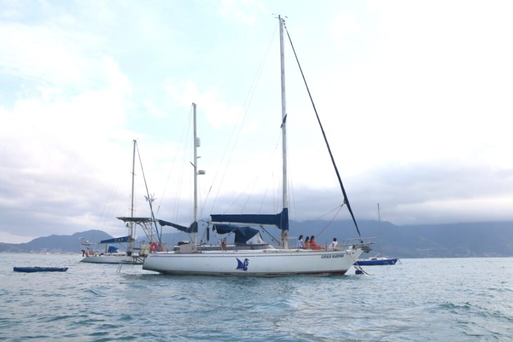 Velamar 45, Cavalo Marinho