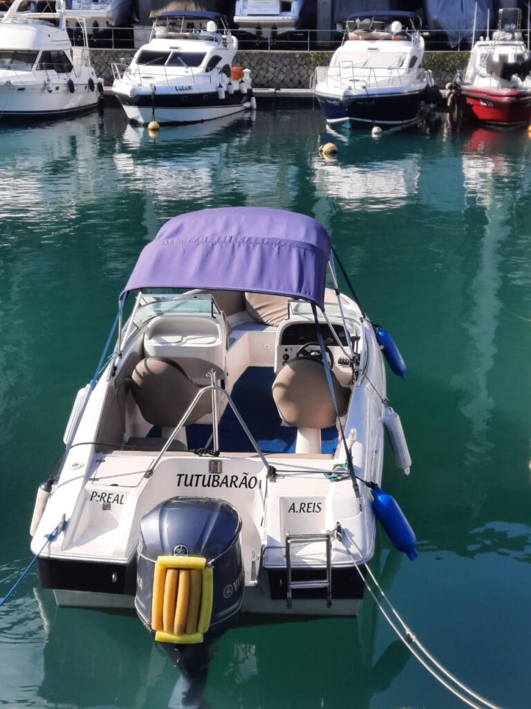 Cobra Caiman 23, Roteiro 1