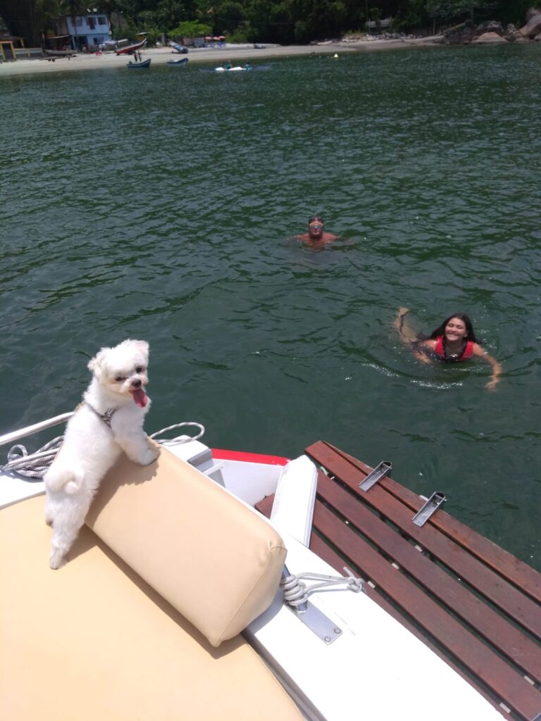 Lancha Quantum 330, Roteiro Ilha das Palmas