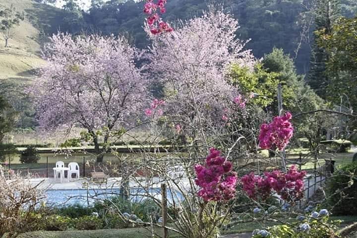 Chalé Sétimo Sol Standard, Próximo ao Centro