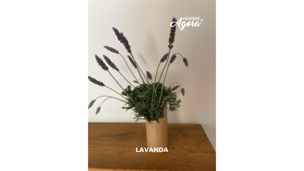 Chalé com Incrível Vista para a Famosa Pedra do Baú