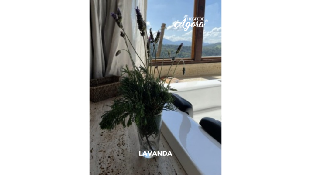 Chalé com Incrível Vista para a Famosa Pedra do Baú