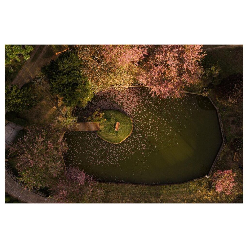 Chalé Sétimo Sol Standard, Próximo ao Centro