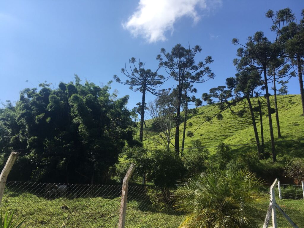 Sítio em Santo Antônio do Pinhal, Ótima área externa, Próximo ao Centro