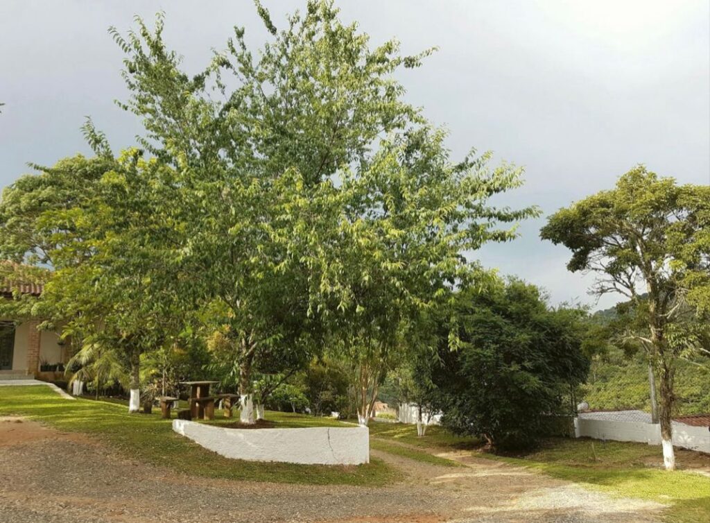 Chalé em Santo Antônio do Pinhal