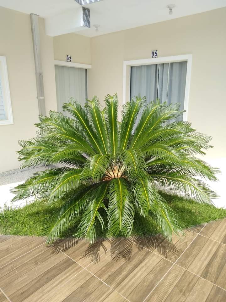 Apartamento Maranduba III