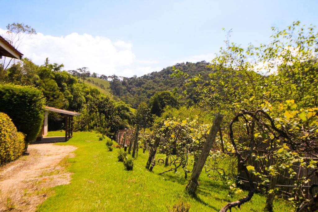 Chalé Raio de Luz Master, Próximo ao Centro
