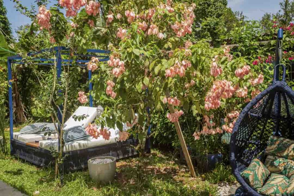 Pousada Paraíso Almada - Suíte Estaleiro