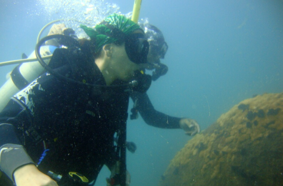 Aventura Submarina, Mergulho de Batismo, Ilha das Couves ou Anchieta