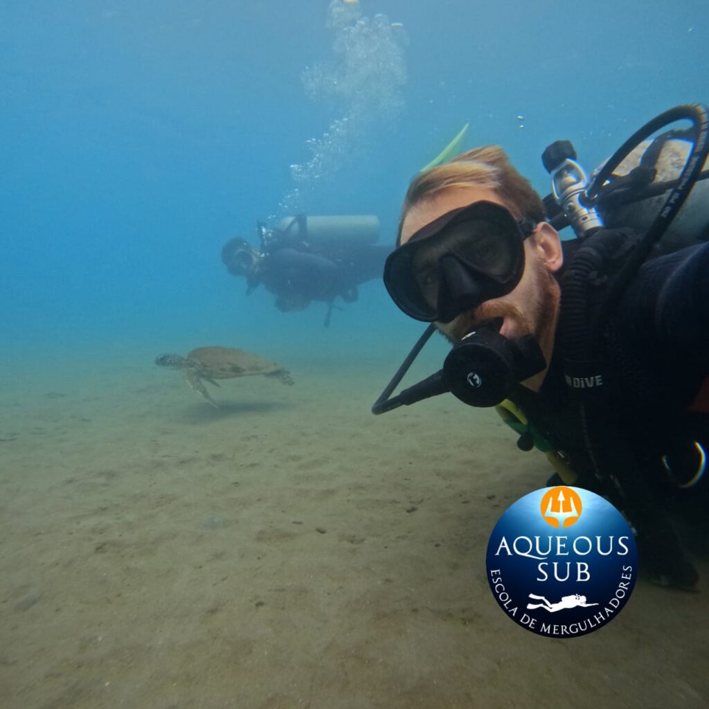 Mergulho na Praia do Lazaro, Descubra um Novo Mundo