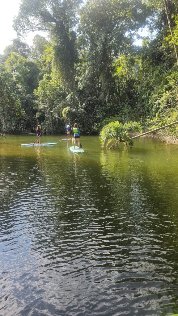 Stand Up Paddle na Puruba, Relaxe Entre Rio e Mar
