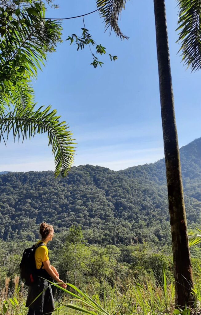 Trilha Pico do Piúva