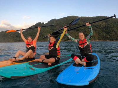 Stand Up Paddle Para Avistar Tartarugas,