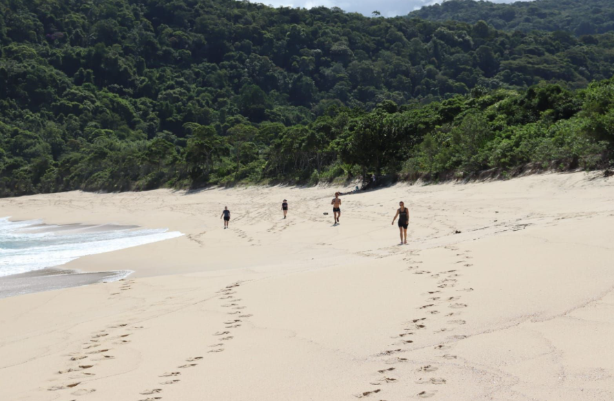 Trilha das Praias Desertas de Ubatuba, Natureza Intocada ao Seu Alcance
