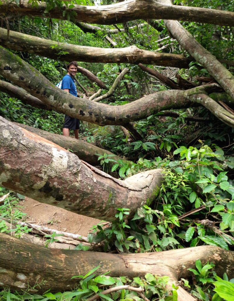 Trilha da Praia de Fora