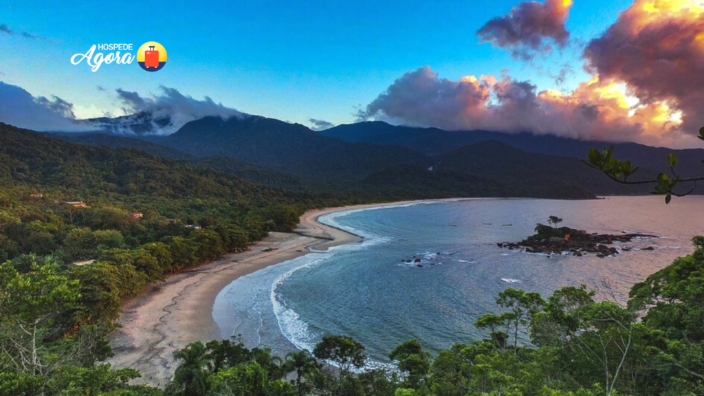 Runner 330, Ilhas Paradisíacas