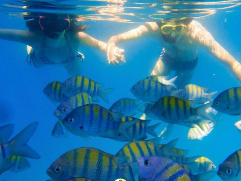 Ventura 195 lll, Roteiro Ilha dos Cocos