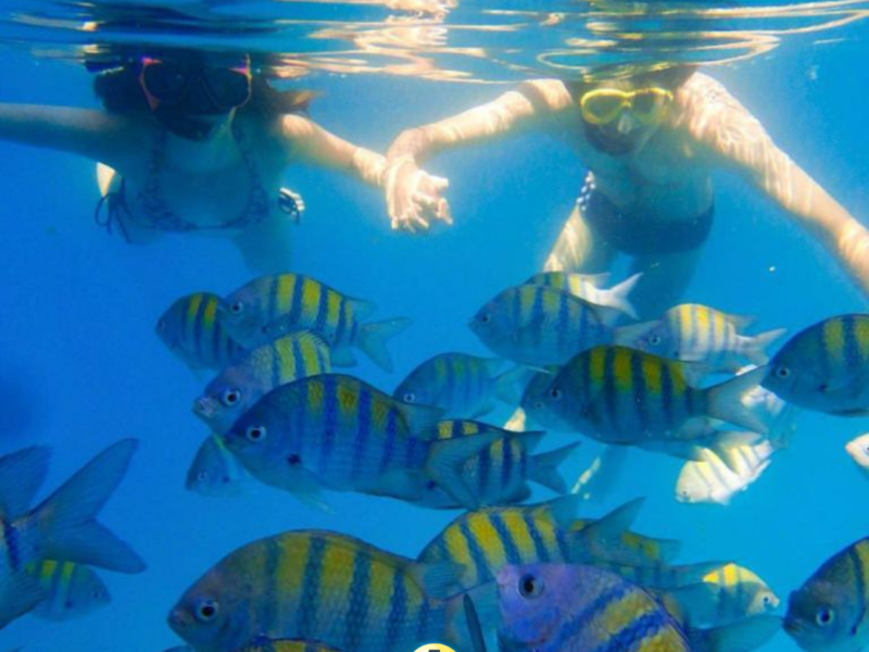 Lancha Ventura 195 ll, Roteiro Ilha dos Cocos