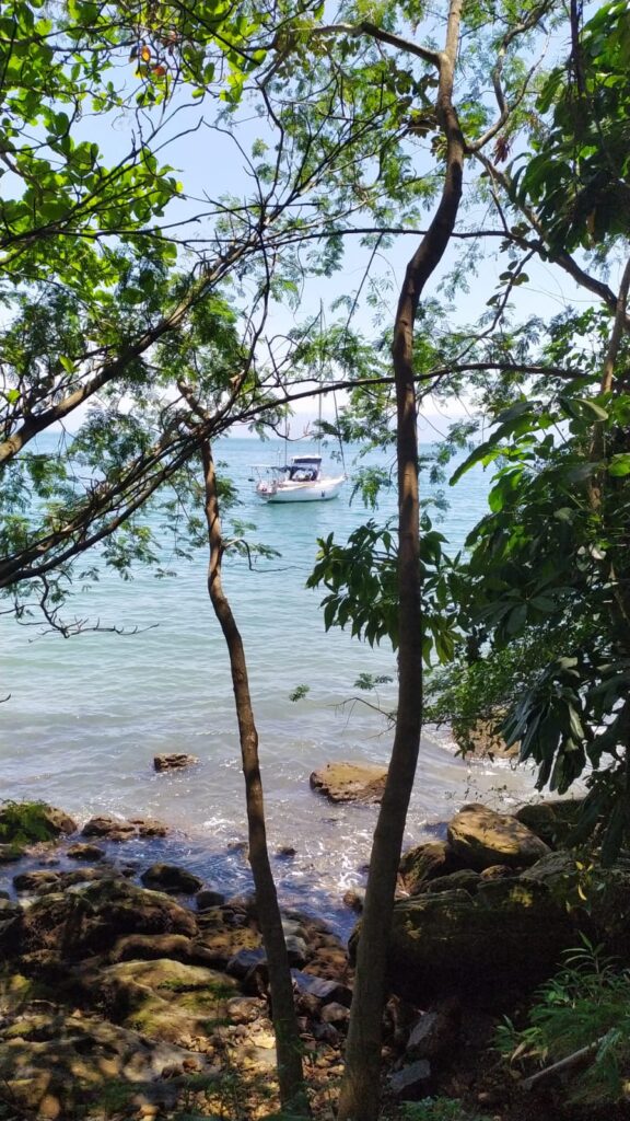 Velamar 45, Cavalo Marinho