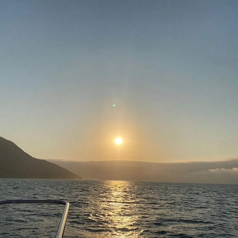 Velamar 45, Cavalo Marinho