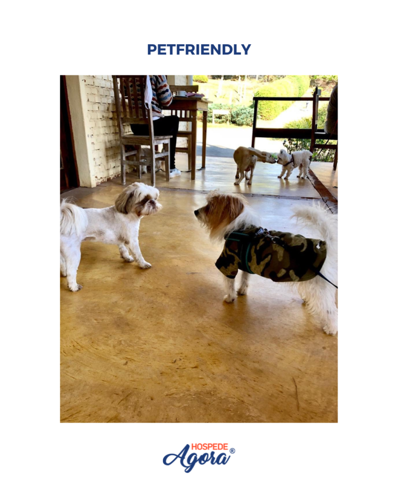 Chalé Pôr do Sol Master com Hidro