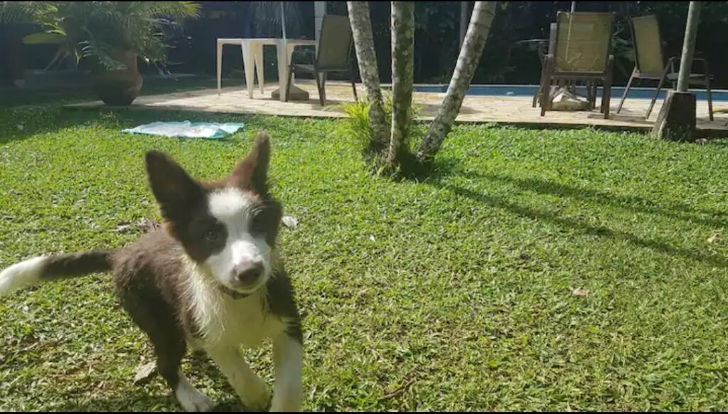 Big House Itamambuca