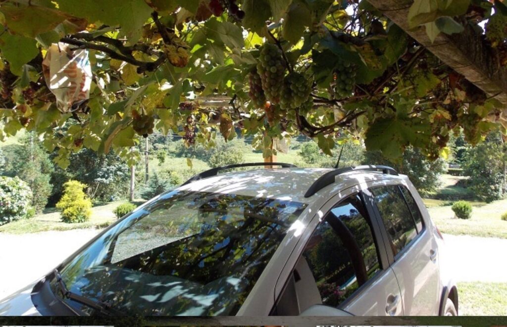 Chalé Lua de Mel, luxo com Hidro