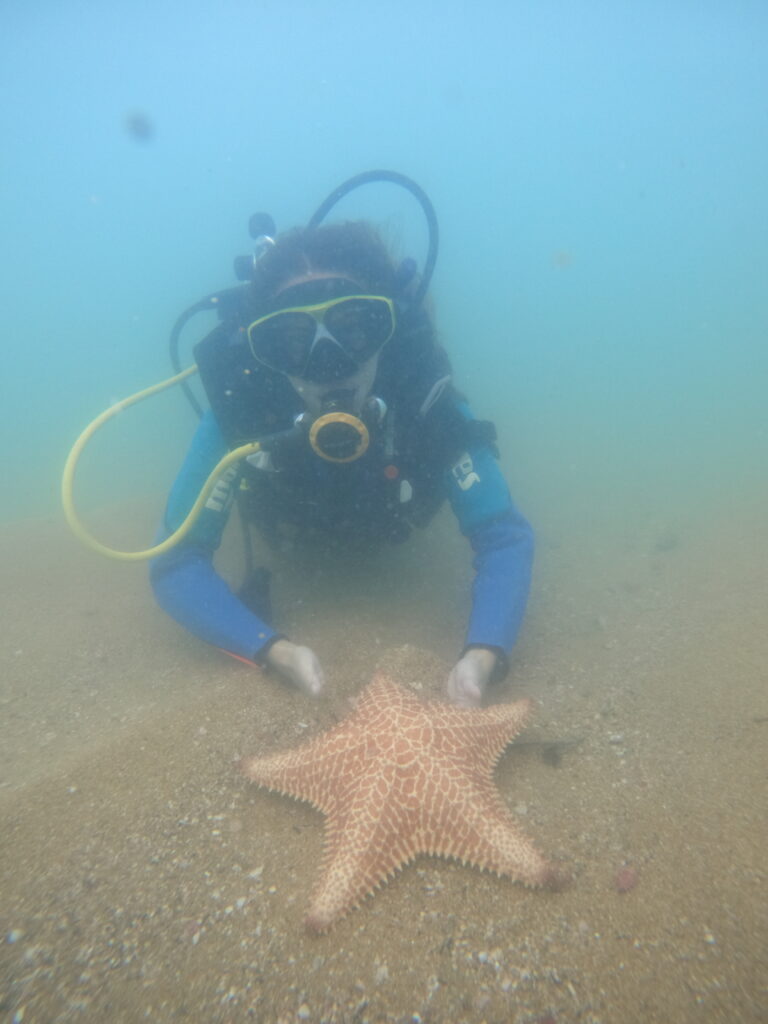 Lancha Privativa Phanton 235, Roteiro Norte, Ilhas Prumirim, Couves, Porcos e Rachada