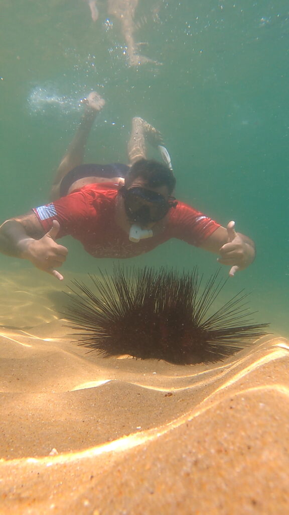 Lancha Privativa Phanton 235, Roteiro Norte, Ilhas Prumirim, Couves, Porcos e Rachada