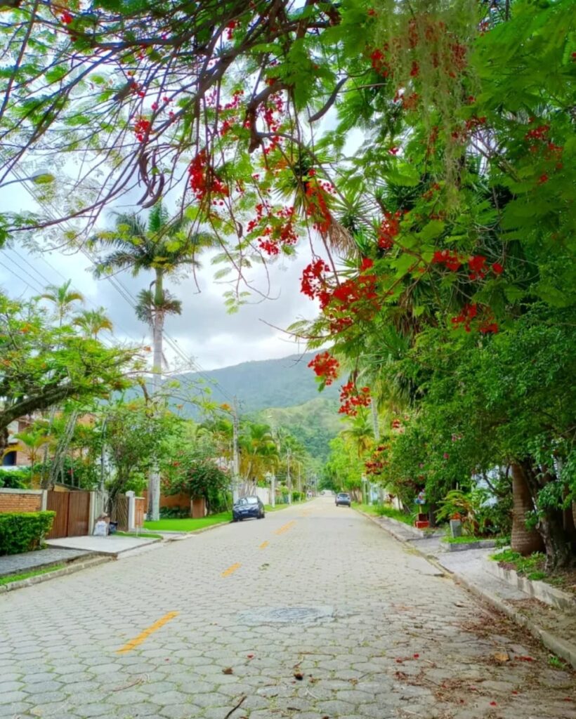 Casa Caiçara