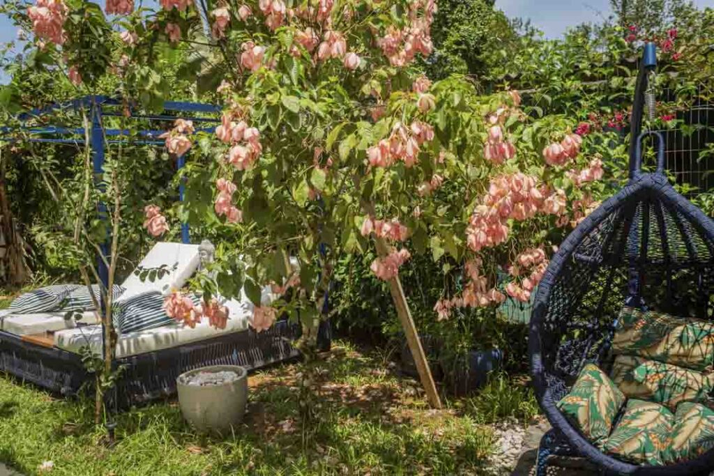 Pousada Paraíso Almada - Suíte Almada