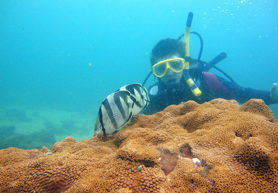 Aventura Submarina, Mergulho de Batismo, Ilha da Vitória