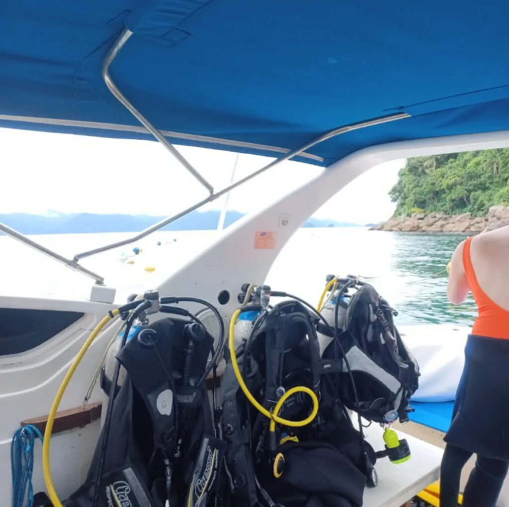 Discover Scuba Ubatuba, Descubra o Mergulho, Ilha das Couves, Rapada ou Anchieta