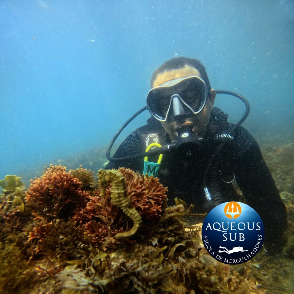 Mergulho na Praia do Lazaro, Descubra um Novo Mundo