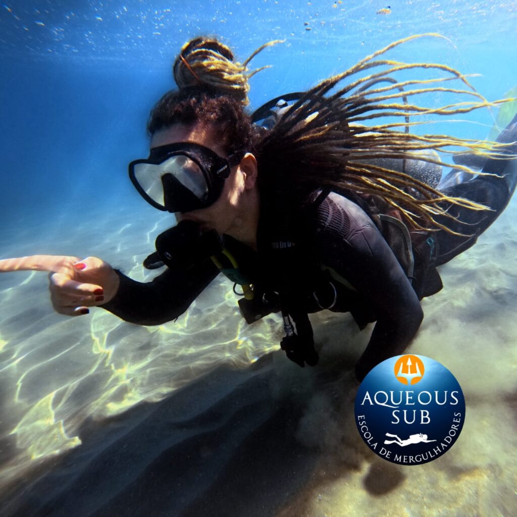 Mergulho na Praia do Lazaro, Descubra um Novo Mundo