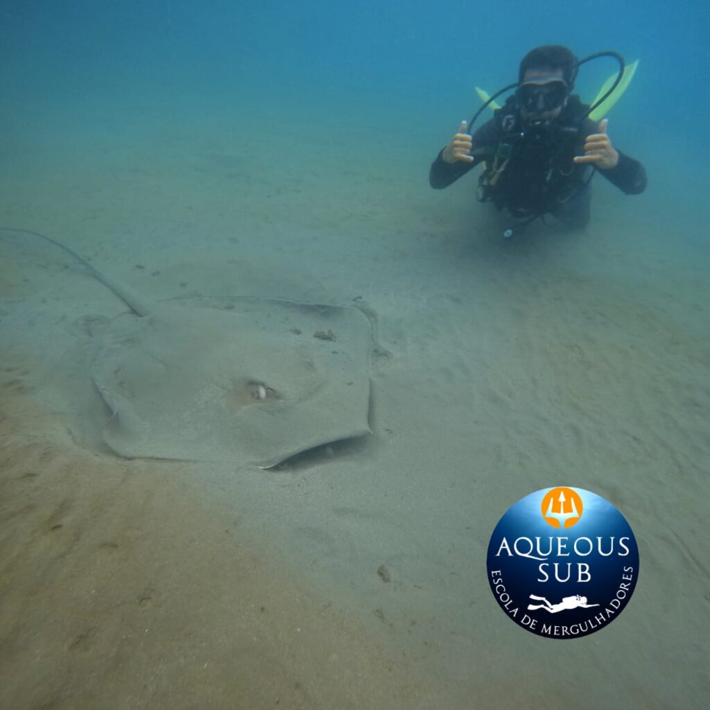 Mergulho na Praia do Lazaro, Descubra um Novo Mundo