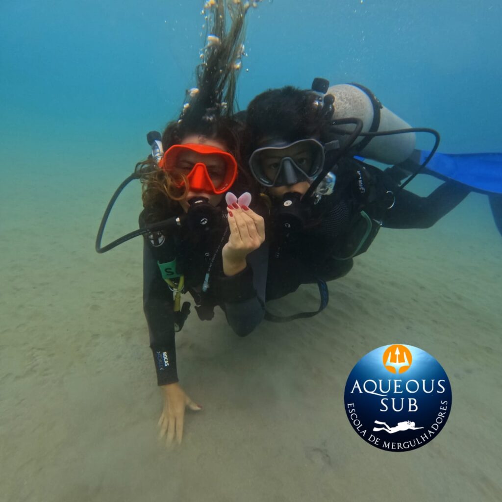 Mergulho na Praia do Lazaro, Descubra um Novo Mundo