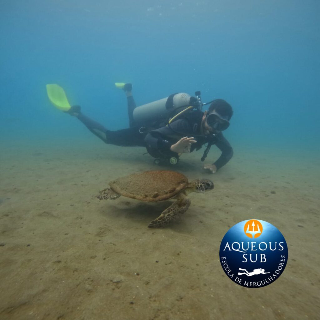 Mergulho na Praia do Lazaro, Descubra um Novo Mundo