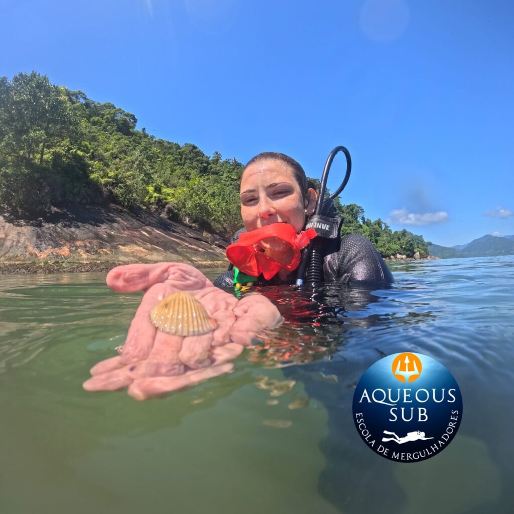 Mergulho na Praia do Lazaro, Descubra um Novo Mundo