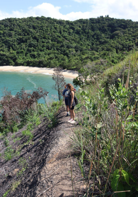 Trilha das Praias Desertas de Ubatuba, Natureza Intocada ao Seu Alcance