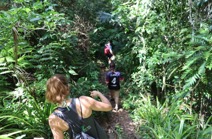 Trilha das Praias Desertas de Ubatuba, Natureza Intocada ao Seu Alcance
