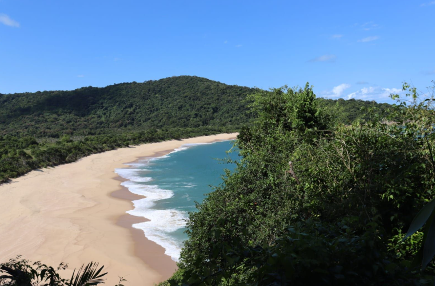 Trilha das Praias Desertas de Ubatuba, Natureza Intocada ao Seu Alcance