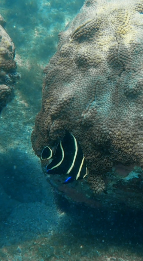 Aventura de Stand Up Paddle no Prumirim, Do Rio ao Mar